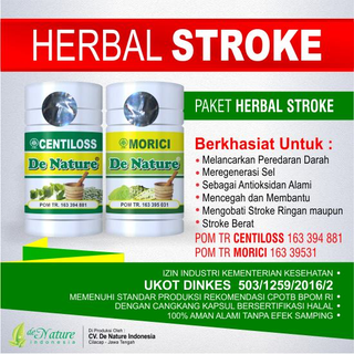 Illustration for article titled Obat herbal mengatasi stroke ringan